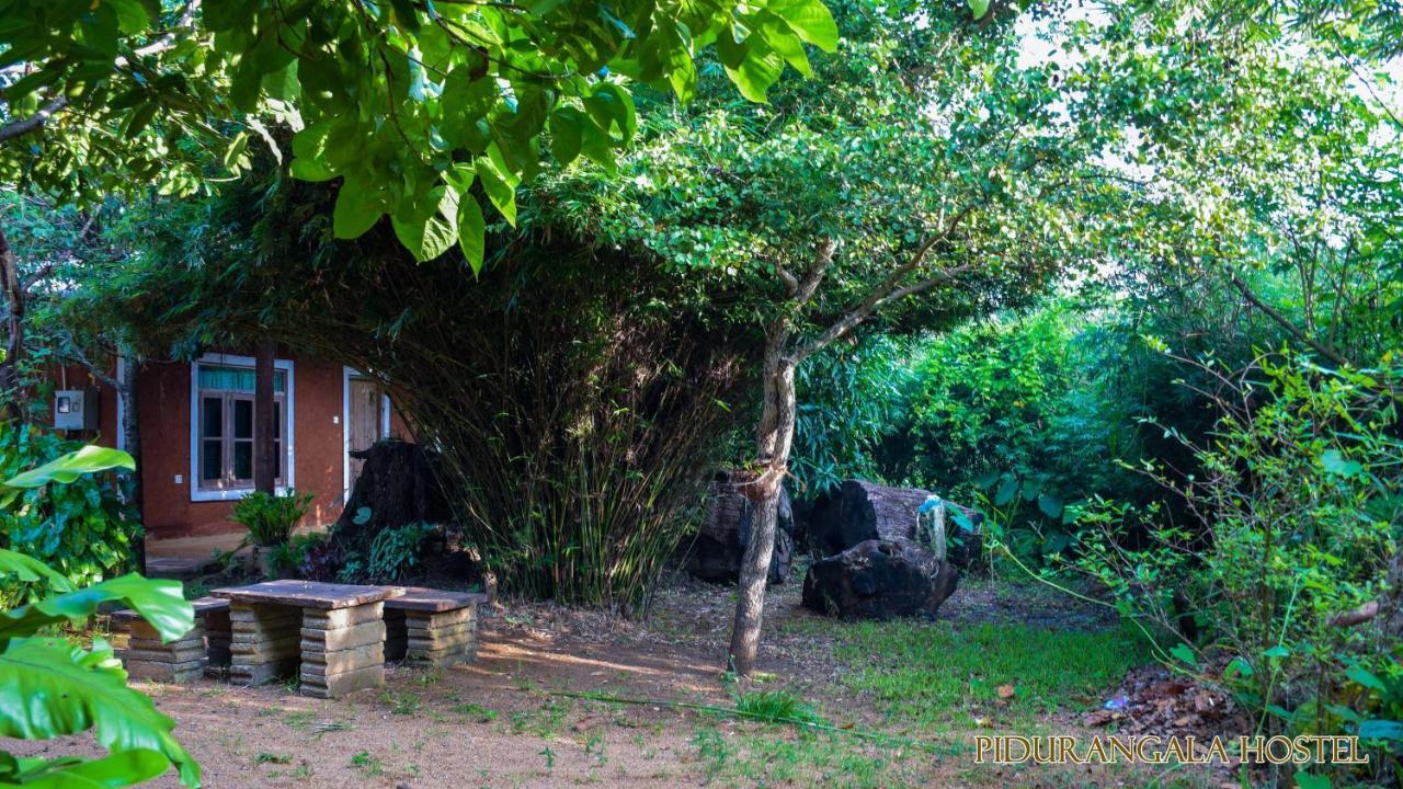 Pidurangala Hostel Сигирия Экстерьер фото